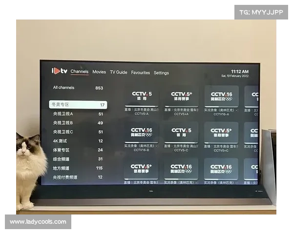 CCTV直播全面升级推出高清多频道观看体验助力观众畅享精彩内容 CCTV直播全面升级推出高清多频道观看体验助力观众畅享精彩内容